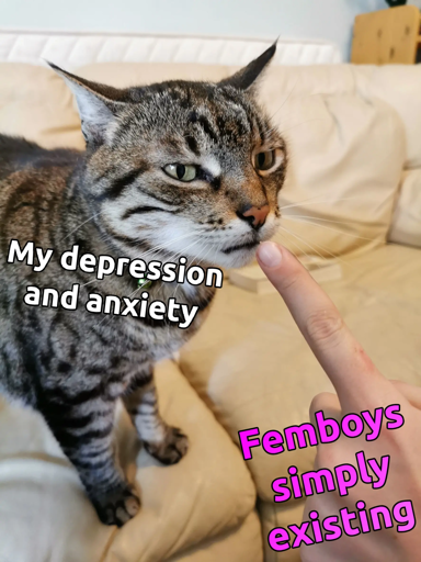 "My depression and anxiety" - the cat. A finger pointing at it with the text saying "femboys simply existing"